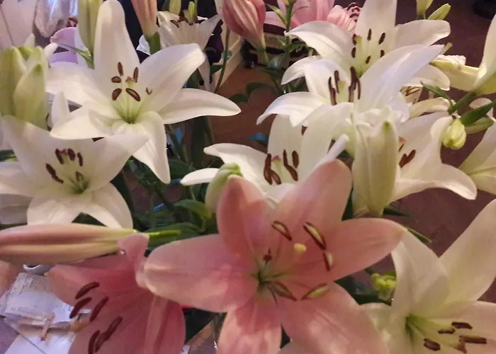 T1 Hyper Centre Place De La Victoire * بوردو